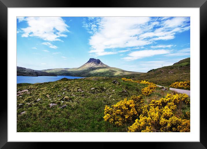 Bright Gorse by Loch Lurgainn, Scotland Framed Mounted Print by Jacqi Elmslie