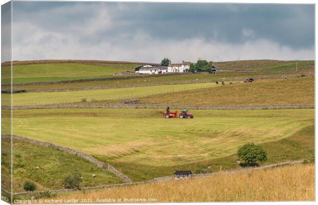 Wool Pits Hill Farm, Teesdale Canvas Print by Richard Laidler