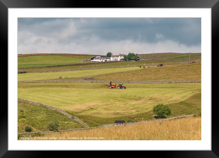 Wool Pits Hill Farm, Teesdale Framed Mounted Print by Richard Laidler