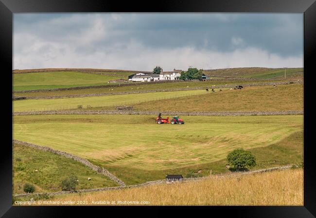 Wool Pits Hill Farm, Teesdale Framed Print by Richard Laidler