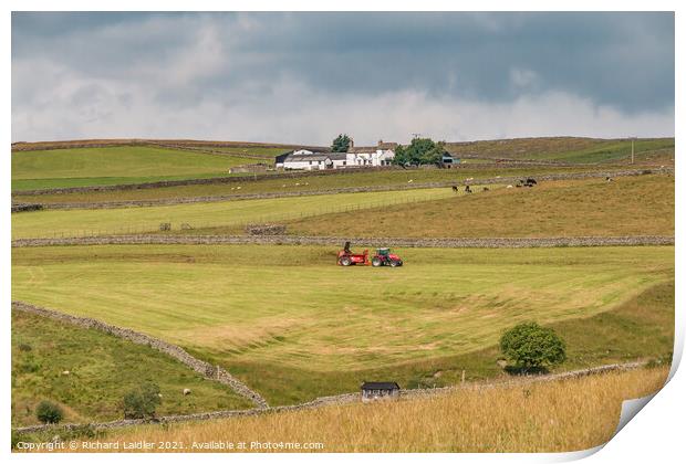 Wool Pits Hill Farm, Teesdale Print by Richard Laidler