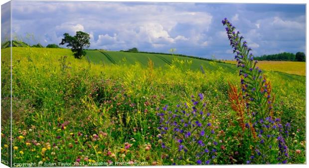 Wildflower Meadow Canvas Print by Jules Taylor