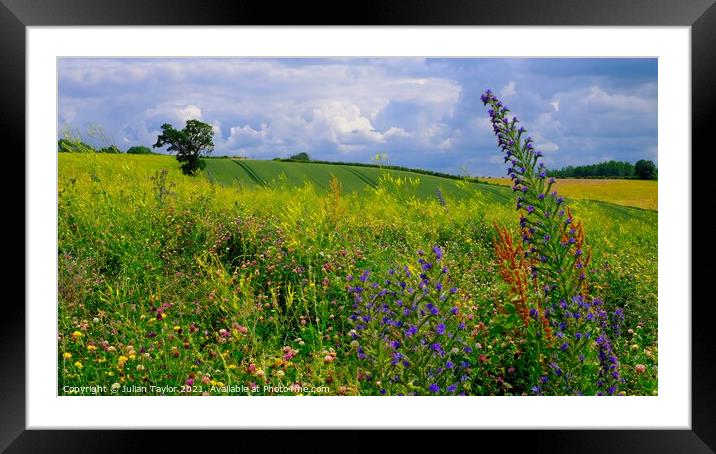 Wildflower Meadow Framed Mounted Print by Jules Taylor