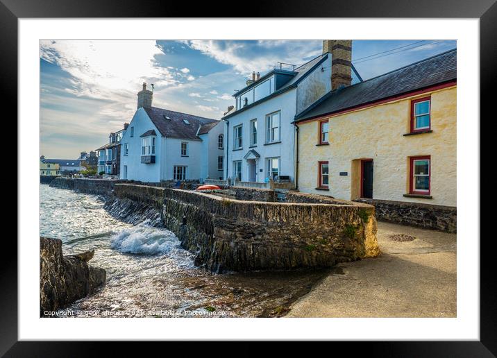 The Parrog, Newport Framed Mounted Print by geoff shoults
