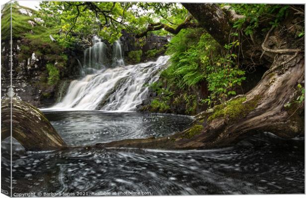 Eas Fors Middle Falls Isle of Mull Inner Hebrides  Canvas Print by Barbara Jones