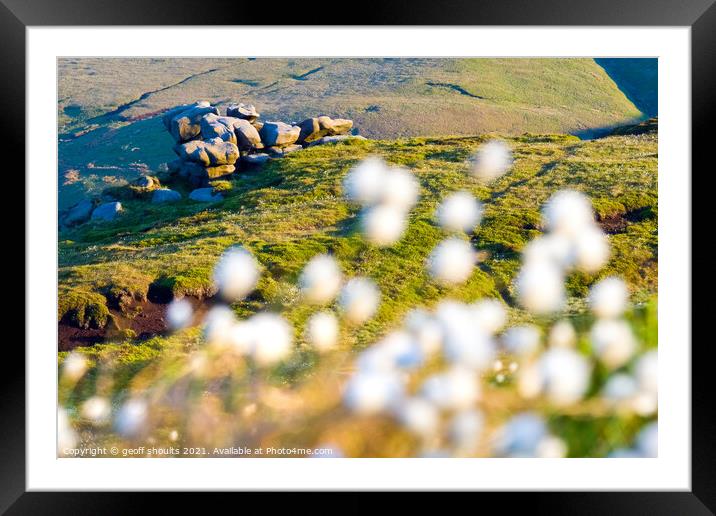 Kinder Scout Cotton Grasses  Framed Mounted Print by geoff shoults
