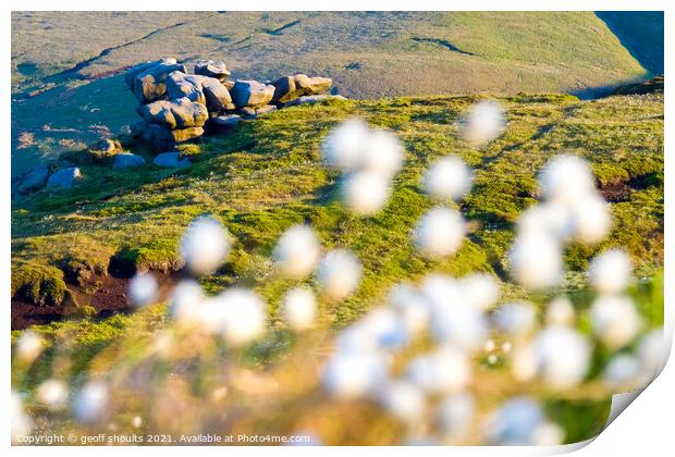 Kinder Scout Cotton Grasses  Print by geoff shoults