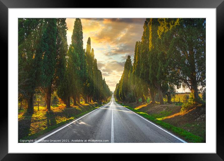 Bolgheri tree lined boulevard. Tuscany Framed Mounted Print by Stefano Orazzini