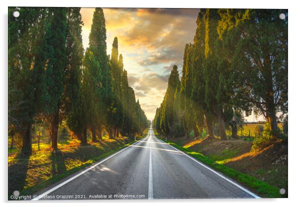 Bolgheri tree lined boulevard. Tuscany Acrylic by Stefano Orazzini