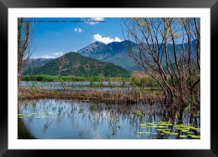  in front of frame  Framed Mounted Print by Ferenc Verebélyi