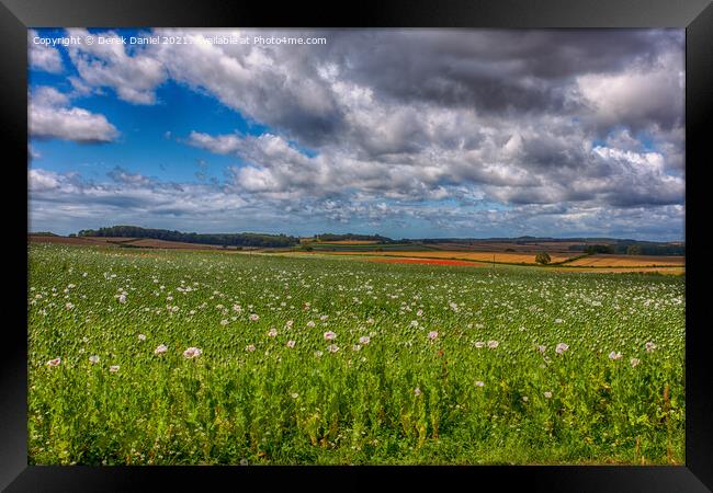 Fields of Healing Framed Print by Derek Daniel