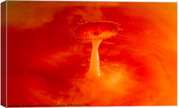 Water Drop Collision  Canvas Print by Antonio Ribeiro