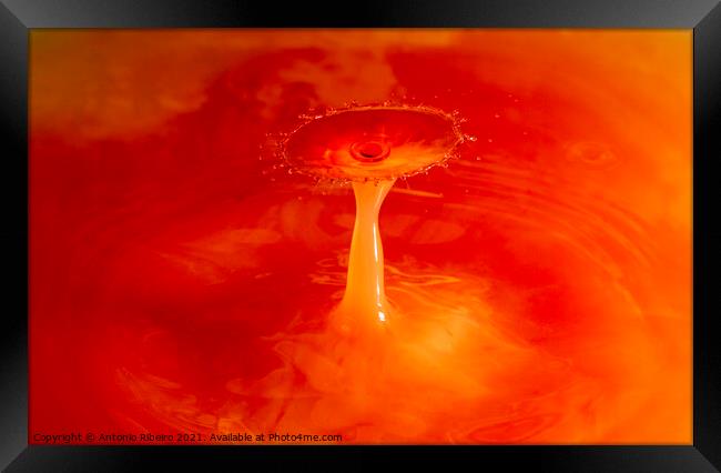 Water Drop Collision  Framed Print by Antonio Ribeiro