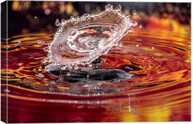 Water Drop Collision as an Inverted Cone Canvas Print by Antonio Ribeiro