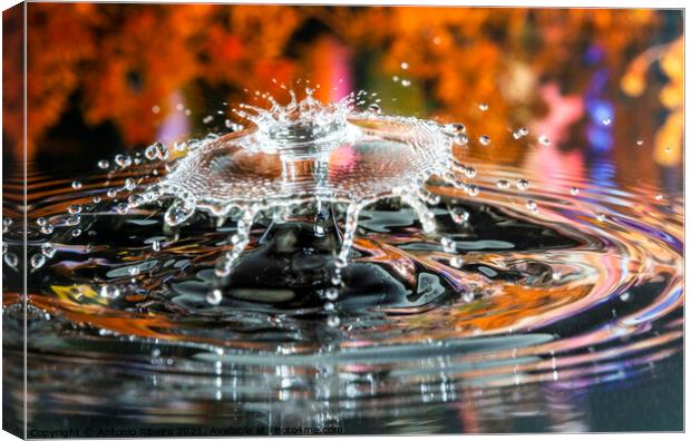 Water Drop Collision  Canvas Print by Antonio Ribeiro