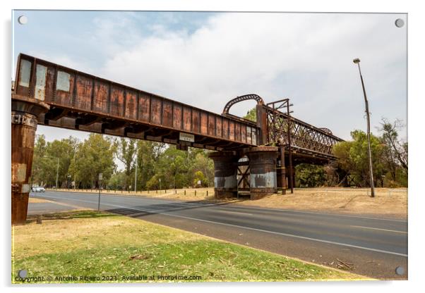 Dubbo Rail Bridge Over Macquarie River Acrylic by Antonio Ribeiro