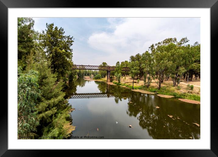 Dubbo Rail Bridge Over Macquarie River Framed Mounted Print by Antonio Ribeiro