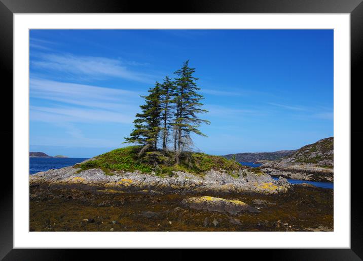 Lonely Trees on an Island  Framed Mounted Print by Jacqi Elmslie