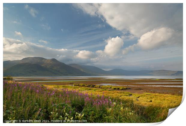 Ben More Hills  in Summer. Isle of Mull. Scotland. Print by Barbara Jones