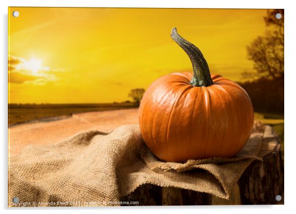 Sunset Pumpkin Acrylic by Amanda Elwell
