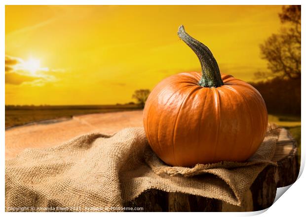 Sunset Pumpkin Print by Amanda Elwell