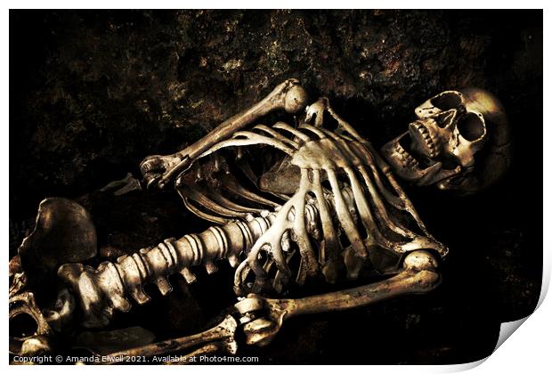 Skeleton  Print by Amanda Elwell