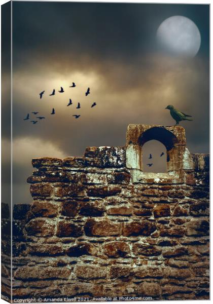 Abbey Wall Canvas Print by Amanda Elwell