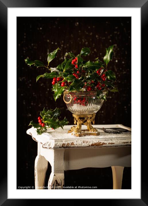 Christmas Holly Framed Mounted Print by Amanda Elwell