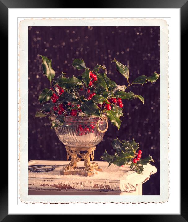 Holly & Berries Framed Mounted Print by Amanda Elwell