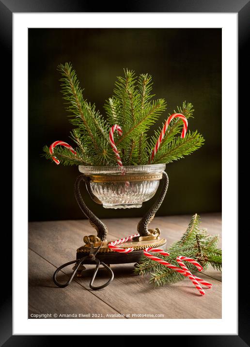 Christmas Pine Framed Mounted Print by Amanda Elwell