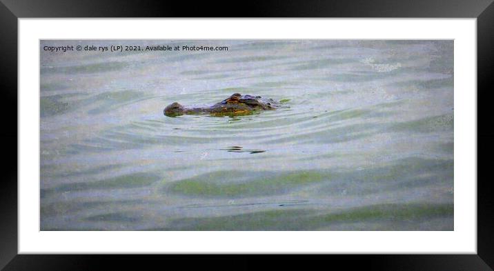 gator life Framed Mounted Print by dale rys (LP)