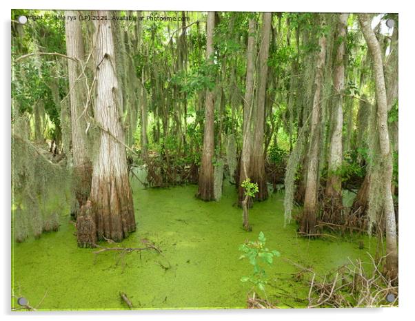 swamp land Acrylic by dale rys (LP)