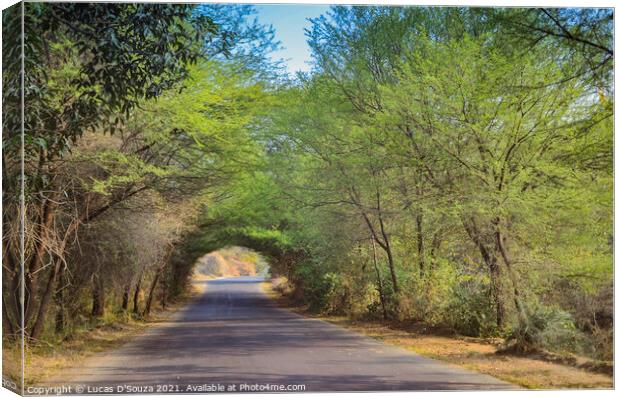 A village road with beautiful tree canopy  Canvas Print by Lucas D'Souza