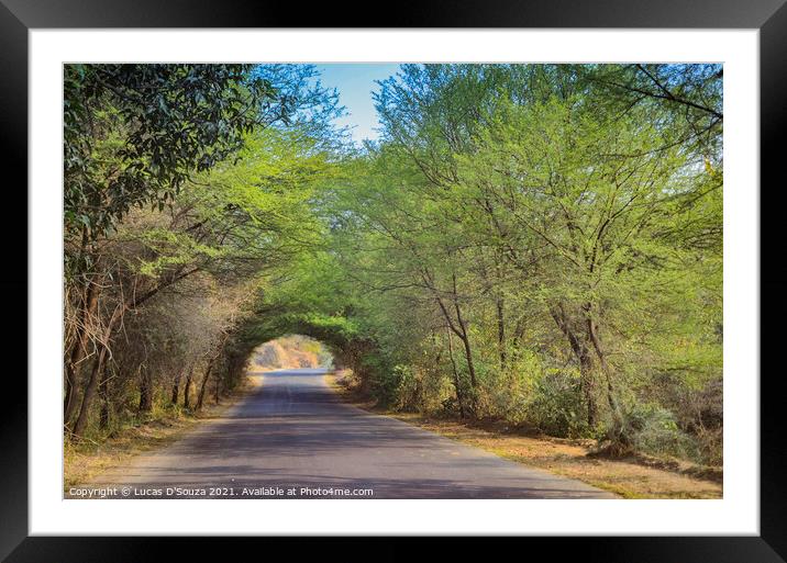 A village road with beautiful tree canopy  Framed Mounted Print by Lucas D'Souza