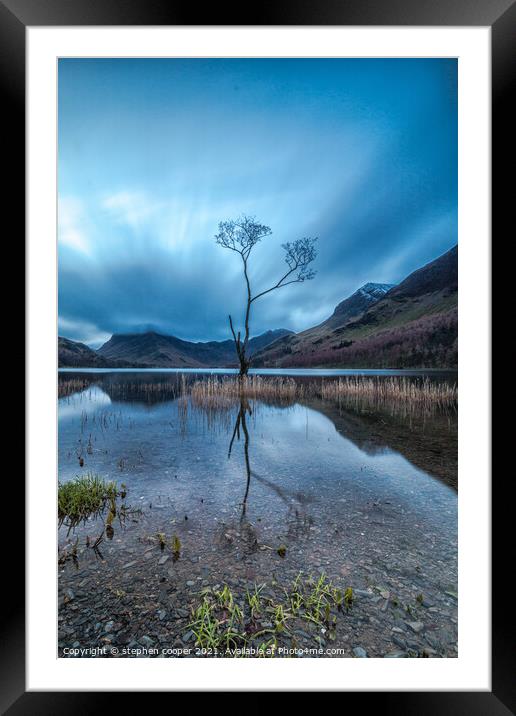 lone tree Framed Mounted Print by stephen cooper