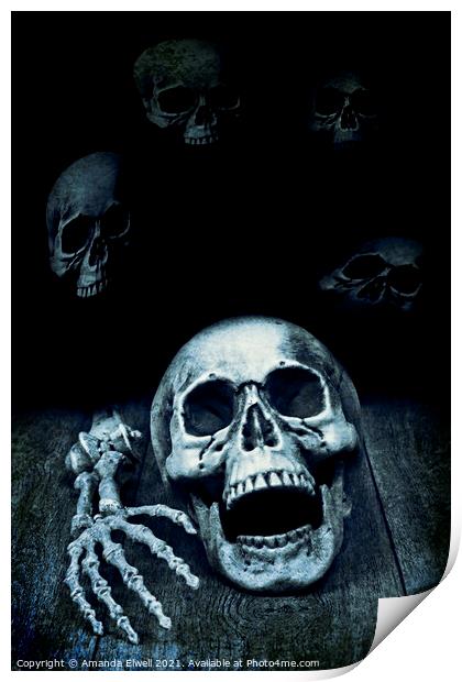Human Skull Print by Amanda Elwell