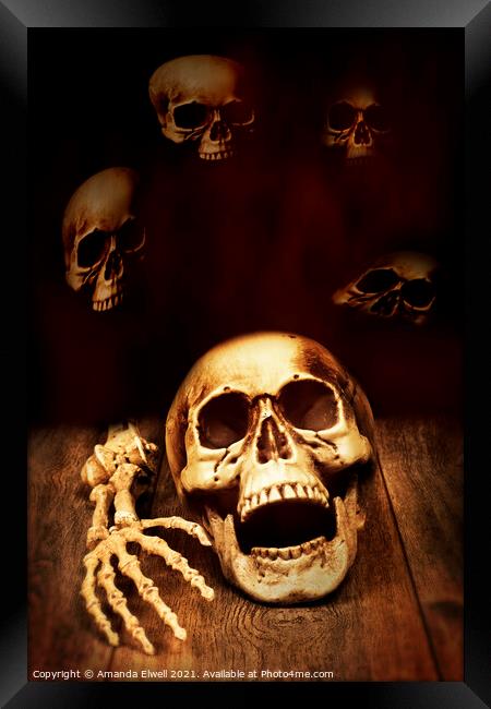 Human Skull Framed Print by Amanda Elwell