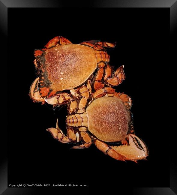 Seafood serving of Spanner or Red Frog Crab. Framed Print by Geoff Childs