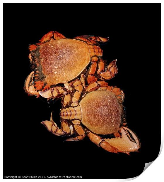 Seafood serving of Spanner or Red Frog Crab. Print by Geoff Childs