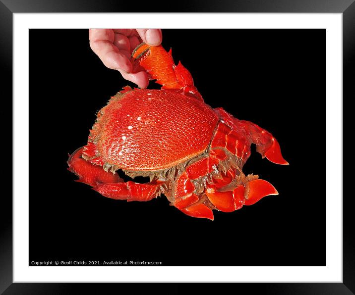 Cooked Spanner or Red Frog Crab. Isolated on Black Framed Mounted Print by Geoff Childs