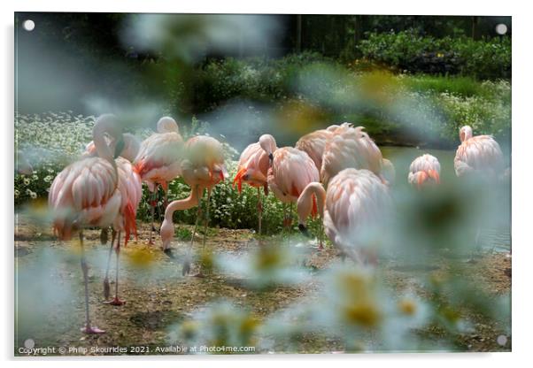 Flamingo's at Banham Acrylic by Philip Skourides