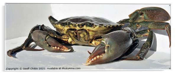 Live Giant Mud Crab. Ready for the cooking pot. Acrylic by Geoff Childs