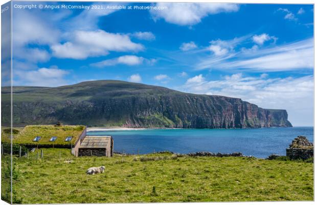 Cottage with sheep overlooking Rackwick Bay Orkney Canvas Print by Angus McComiskey