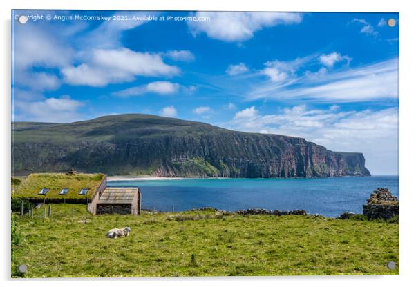 Cottage with sheep overlooking Rackwick Bay Orkney Acrylic by Angus McComiskey