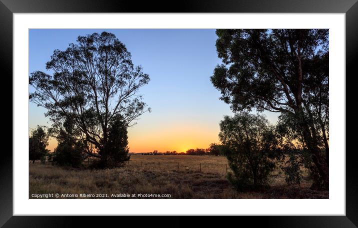 New South Wales – Early Morning Framed Mounted Print by Antonio Ribeiro