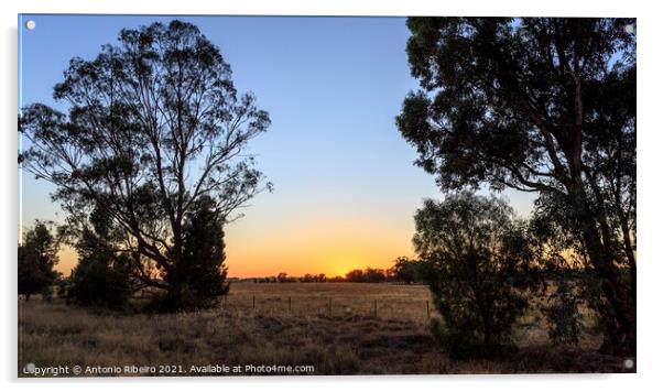 New South Wales – Early Morning Acrylic by Antonio Ribeiro