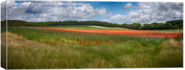 Stunning Red and White Poppies Field Canvas Print by Derek Daniel