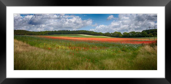 Stunning Red and White Poppies Field Framed Mounted Print by Derek Daniel
