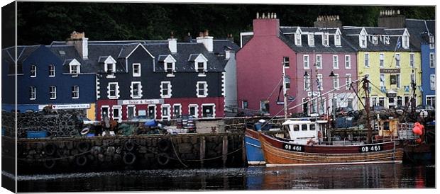 TOBERMORY ISLE OF MULL Canvas Print by Anthony R Dudley (LRPS)