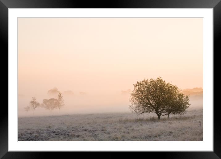Morning on the moor. Framed Mounted Print by Bill Allsopp